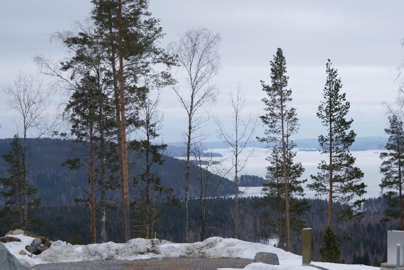 Riihivuoren Lomakylae Muurame Værelse billede